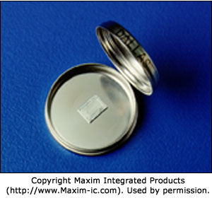 The inside of an iButton