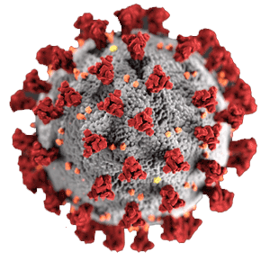 Image of the COVID-19 virus from the U.S. Centers for Disease Control and Prevention.